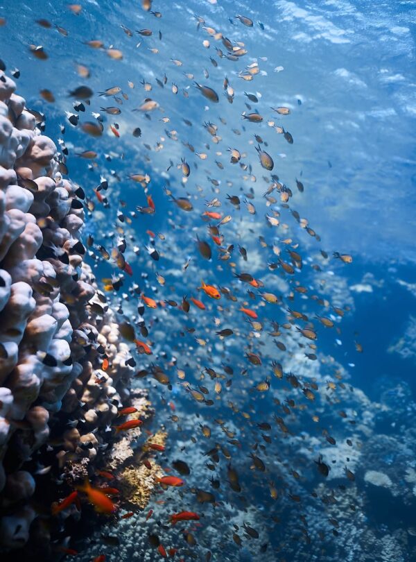Hurghada