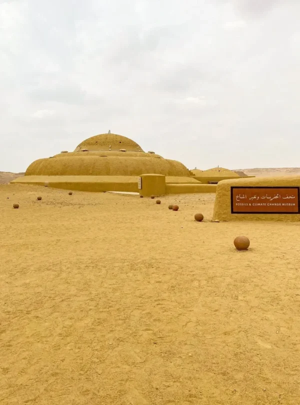 fayoum